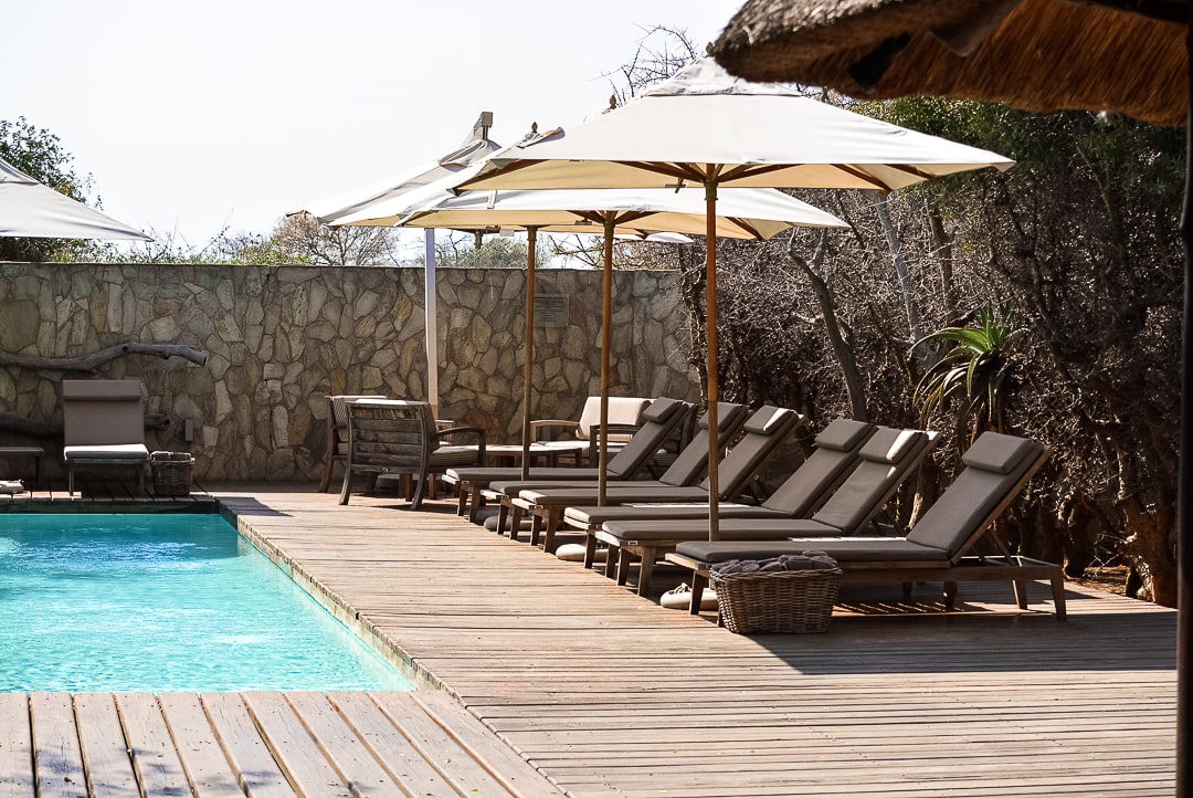 safari in südafrika