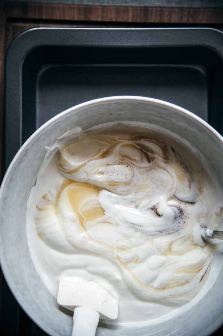 Frozen Joghurt selber machen